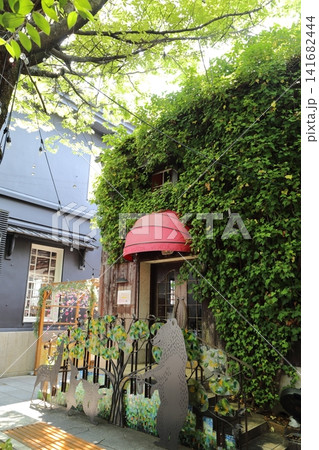 喫茶店の裏にある木陰のベンチ 喫茶店の裏にある木陰のベンチ 141682444
