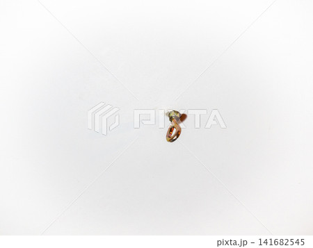 hammock hook on a white ceiling. Metal mount on the ceiling. Reliable fastening. hammock hook on a white ceiling. Metal mount on the ceiling. Reliable fastening. 141682545