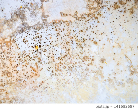 Brown mold on white bathroom enamel. Bacteria house concept. Brown mold on white bathroom enamel. Bacteria house concept. 141682687
