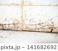 Brown mold on white tiles in the bathroom. Mold in the cracks between the tiles. House bacteria concept. 141682692
