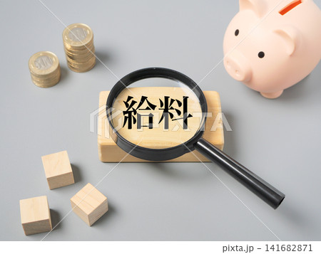 給料と家計管理のイメージ 給料と家計管理のイメージ 141682871