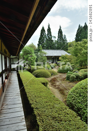 夏の雲龍院 大輪の間から眺める庭園(京都市東山区) 夏の雲龍院 大輪の間から眺める庭園(京都市東山区) 141682891