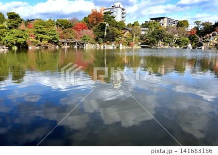 名勝渉成園印月地の秋風景 名勝渉成園印月地の秋風景 141683186