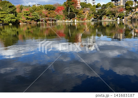 名勝渉成園印月地の秋風景 名勝渉成園印月地の秋風景 141683187