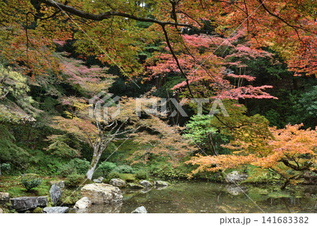 秋の南禅院庭園 曹源池(京都市左京区) 秋の南禅院庭園 曹源池(京都市左京区) 141683382
