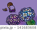 カタツムリを見つめる男の子と紫陽花のある梅雨の風景 141683608