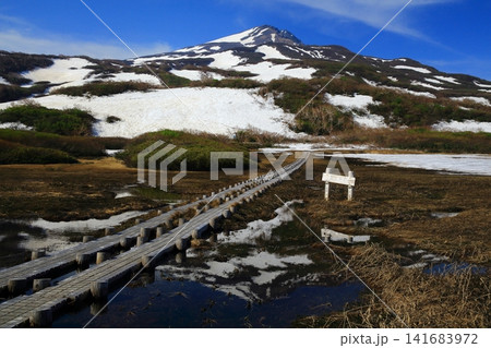 雪解けの湿原に映る残雪の鳥海山 雪解けの湿原に映る残雪の鳥海山 141683972