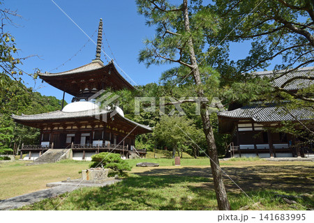 根来寺 大塔 根来寺 大塔 141683995