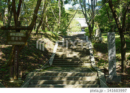 根来寺の参道 141683997