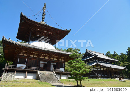 根来寺 大塔 根来寺 大塔 141683999