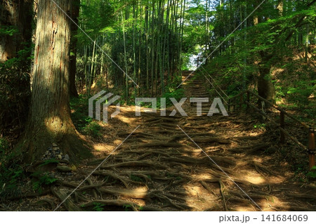 静寂な中尊寺の参道 静寂な中尊寺の参道 141684069