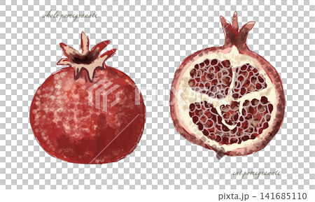 Pomegranate watercolor set (whole and cut) Pomegranate watercolor set (whole and cut) 141685110
