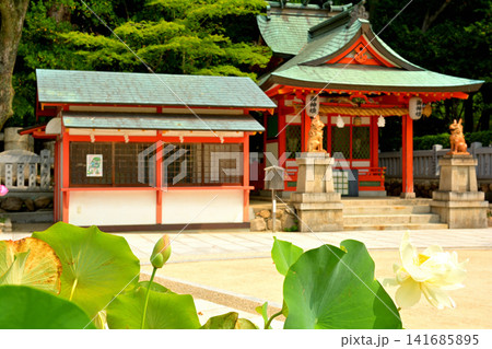神戸・生田神社 141685895