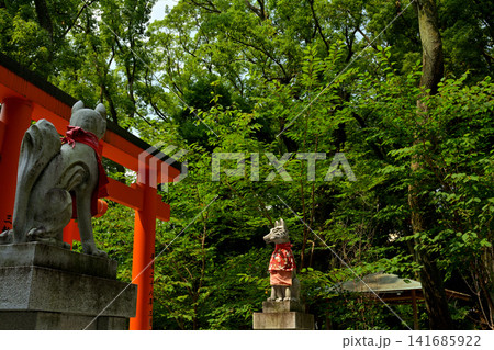 神戸・生田神社 生田稲荷 神戸・生田神社 生田稲荷 141685922