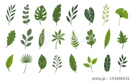 Green Botanical Leaf Collection with Tropical and Garden Foliage Vector Illustration Green Botanical Leaf Collection with Tropical and Garden Foliage Vector Illustration 141686032