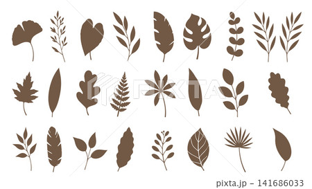 Brown Botanical Leaf Collection with Tropical and Forest Foliage Vector Illustration Brown Botanical Leaf Collection with Tropical and Forest Foliage Vector Illustration 141686033
