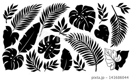 Tropical Leaves Silhouette Collection Black Botanical Vector Set Tropical Leaves Silhouette Collection Black Botanical Vector Set 141686044