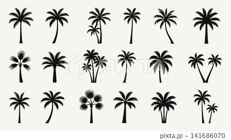Tropical palm tree silhouette collection with various coconut and fan palm shapes for summer, beach, travel, logo, and decorative design. Tropical palm tree silhouette collection with various coconut and fan palm shapes for summer, beach, travel, logo, and decorative design. 141686070