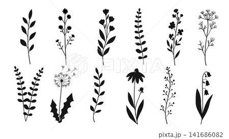 Silhouette Wildflowers and Botanical Plants Collection Vector Illustration Silhouette Wildflowers and Botanical Plants Collection Vector Illustration 141686082