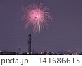 日本　埼玉の花火 141686615