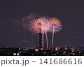 日本　埼玉の花火 141686616