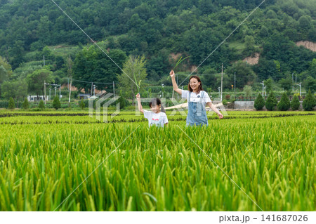 Two happy girls raising their arms with green rice stalks in a lush paddy field. Two happy girls raising their arms with green rice stalks in a lush paddy field. 141687026