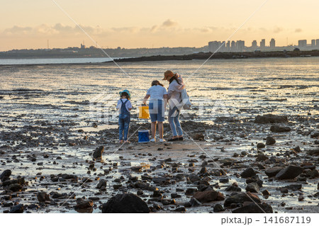 Asian Family Exploring Rocky Beach Tide Pool During Summer Vacation Asian Family Exploring Rocky Beach Tide Pool During Summer Vacation 141687119