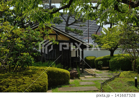 神戸・灘　菊正宗酒造記念館 141687328