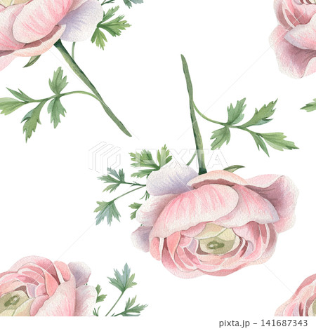 Seamless watercolor pattern of pink ranunculus flowers, green botanical leaves, isolated on white background. For romantic invitations, floral textile prints, herbal tea, cosmetic packaging, beauty 141687343