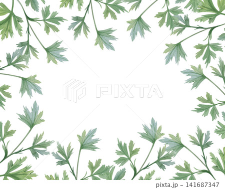 Watercolor foliage frame with copy space, ranunculus leaves on white background, illustrations for wedding and botanical designs, invitations, cards, organic cosmetics packaging, natural product. Watercolor foliage frame with copy space, ranunculus leaves on white background, illustrations for wedding and botanical designs, invitations, cards, organic cosmetics packaging, natural product. 141687347