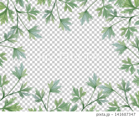 Watercolor foliage frame with copy space, ranunculus leaves on white background, illustrations for wedding and botanical designs, invitations, cards, organic cosmetics packaging, natural product. Watercolor foliage frame with copy space, ranunculus leaves on white background, illustrations for wedding and botanical designs, invitations, cards, organic cosmetics packaging, natural product. 141687347