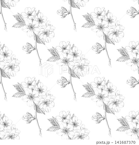 Seamless cherry blossom pattern. Hand-drawn pencil sketch for textile design, packaging, stationery, and organic cosmetics branding. Versatile botanical repeat illustration on white background 141687370