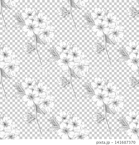 Seamless cherry blossom pattern. Hand-drawn pencil sketch for textile design, packaging, stationery, and organic cosmetics branding. Versatile botanical repeat illustration on white background 141687370