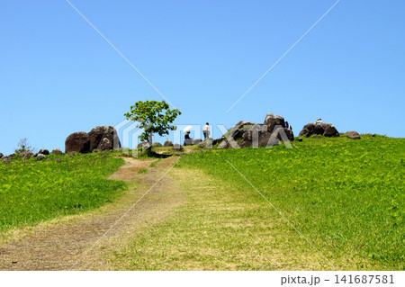 熊本県阿蘇の押戸石の丘 緑の草原と古代遺跡の巨石群の風景 熊本県阿蘇の押戸石の丘 緑の草原と古代遺跡の巨石群の風景 141687581