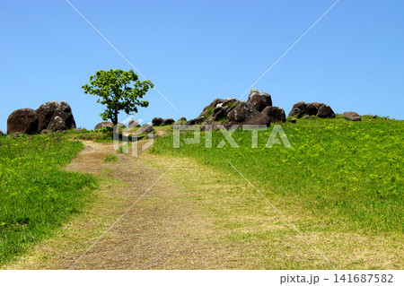 熊本県阿蘇の押戸石の丘 緑の草原と古代遺跡の巨石群の風景 熊本県阿蘇の押戸石の丘 緑の草原と古代遺跡の巨石群の風景 141687582