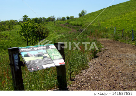 熊本県阿蘇の押戸石の丘　緑の草原と古代遺跡の巨石群の風景 141687655