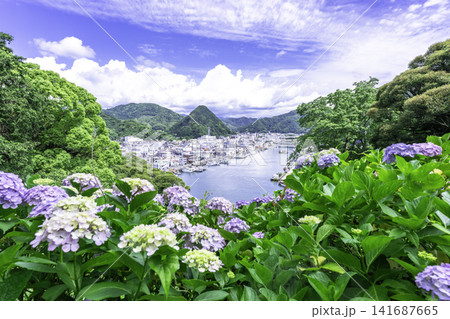港町を彩る紫陽花 港町を彩る紫陽花 141687665