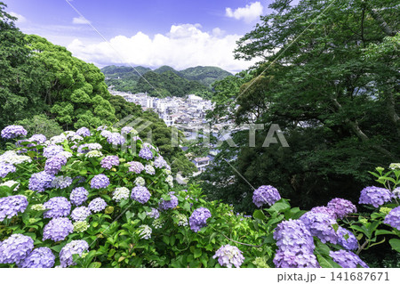 港町を彩る紫陽花 港町を彩る紫陽花 141687671