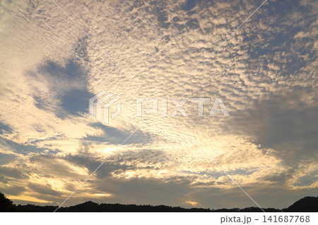 夕焼け空に広がるうろこ雲 141687768