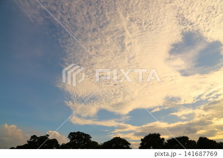 夕焼け空に広がるうろこ雲 夕焼け空に広がるうろこ雲 141687769