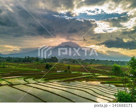 Aerial view of Sapa rice terraces at sunrise with golden light over green fields and misty mountain valleys 141688171