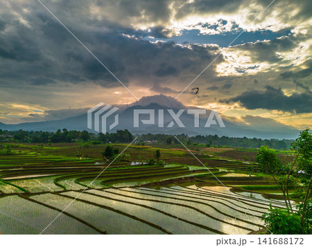 Aerial view of Sapa rice terraces at sunrise with golden light over green fields and misty mountain valleys 141688172