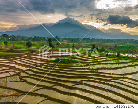 Aerial view of Sapa rice terraces at sunrise with golden light over green fields and misty mountain valleys Aerial view of Sapa rice terraces at sunrise with golden light over green fields and misty mountain valleys 141688176