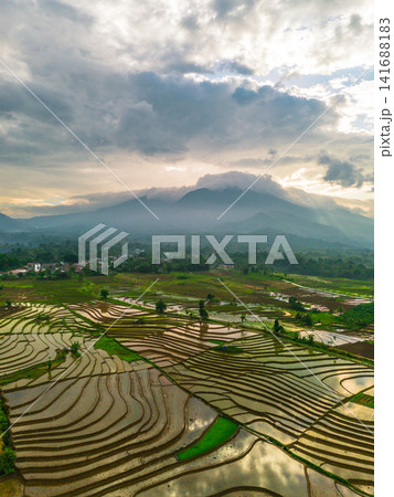 Aerial view of Sapa rice terraces at sunrise with golden light over green fields and misty mountain valleys Aerial view of Sapa rice terraces at sunrise with golden light over green fields and misty mountain valleys 141688183