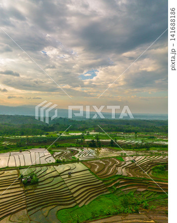 Aerial view of Sapa rice terraces at sunrise with golden light over green fields and misty mountain valleys Aerial view of Sapa rice terraces at sunrise with golden light over green fields and misty mountain valleys 141688186