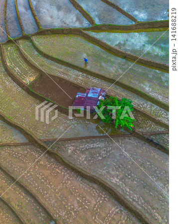 Aerial view of Sapa rice terraces at sunrise with golden light over green fields and misty mountain valleys Aerial view of Sapa rice terraces at sunrise with golden light over green fields and misty mountain valleys 141688219