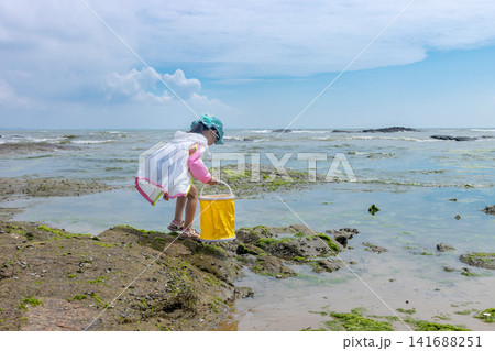Focused young girl using a small shovel to dig and search for marine life on the muddy beach. Focused young girl using a small shovel to dig and search for marine life on the muddy beach. 141688251