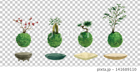 各種苔蘚球和盆栽植物，用水彩顏料作畫。 141689110
