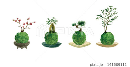 水彩で描いたいろいろな苔玉・植物の鉢植え 水彩で描いたいろいろな苔玉・植物の鉢植え 141689111