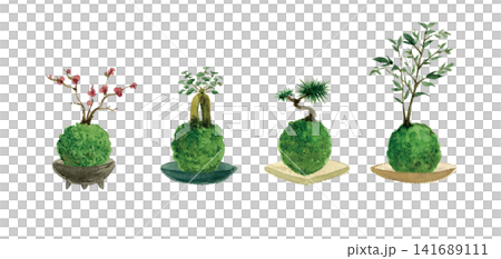 水彩で描いたいろいろな苔玉・植物の鉢植え 水彩で描いたいろいろな苔玉・植物の鉢植え 141689111